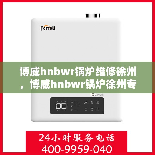 博威hnbwr锅炉维修徐州，博威hnbwr锅炉徐州专业维修团队