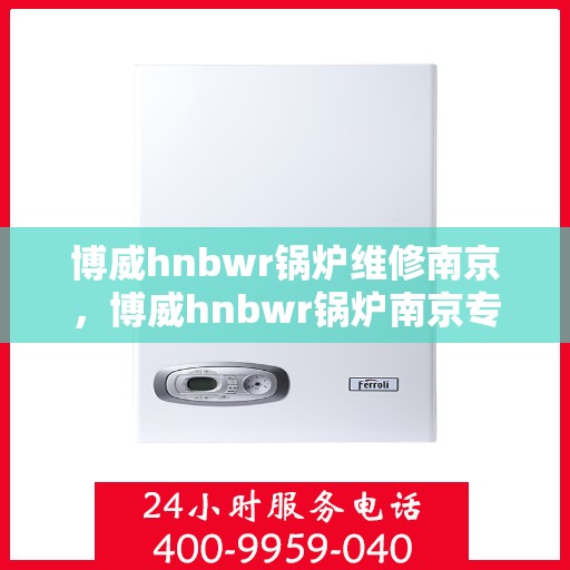 博威hnbwr锅炉维修南京，博威hnbwr锅炉南京专业维修服务