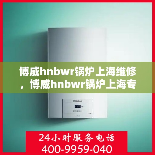 博威hnbwr锅炉上海维修，博威hnbwr锅炉上海专业维修服务