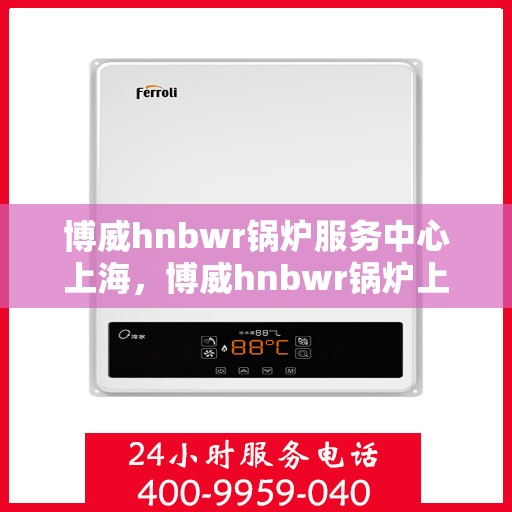 博威hnbwr锅炉服务中心上海，博威hnbwr锅炉上海服务中心，专业维护与高效运行的首选